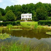 Merry Hill - Venue in , 
