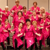 Metro Nashville Chorus - A Cappella Singing Group in Hendersonville, Tennessee