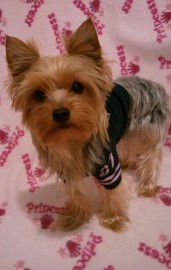 Mia Monster