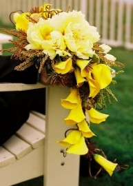 Michael Daigian Design