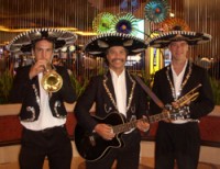 Miguel's Mariachi Fiesta - Bands & Groups in Plum, Pennsylvania
