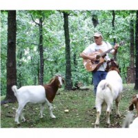 Mike Todd, the Goat Whisperer