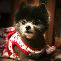 Minnie and Me - Storyteller in Tulare, California