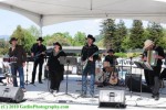Miracle Mule at Napa Earth Day Festival