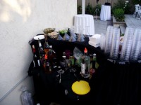 Miss Barstar Private Bartender