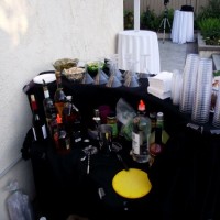 Miss Barstar Private Bartender - Event Planner in Fresno, California