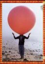Mister Balloon Company