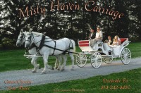 Misty Haven Carriage
