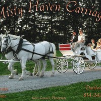 Misty Haven Carriage - Horse Drawn Carriage in Towson, Maryland