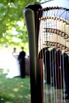 Harp Bride and Groom