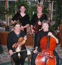 Mountain Aire Strings