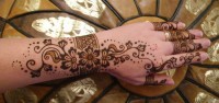 Mountain Mehndi - Body Painter in Salt Lake City, Utah