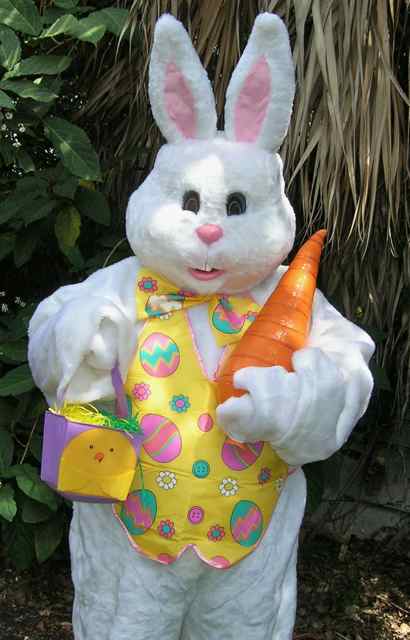 Easter Bunny