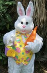 Easter Bunny