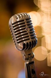 Elvis Shure Mic