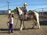 My Party Ponies