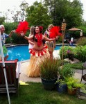 Polynesian Show