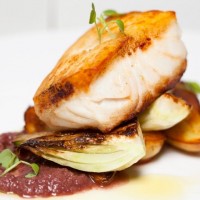 Nation of Cooks - Tent Rental Company in Colorado Springs, Colorado