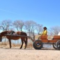 Natural Horse Sense - Limo Services Company in Santa Fe, New Mexico