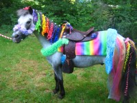 New Hampshire Pony Parties