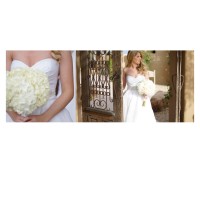 Nicole Ann Photography - Photographer in Newport, Rhode Island