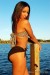 palm bch