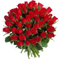 Nithin - Actor in Springfield, Missouri