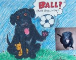 Pet Caricature - Play Ball? Pet Caricature - Play Ball?