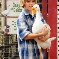 Noah's Ark on Wheels - Unique & Specialty in Tarpon Springs, Florida