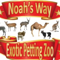 Noah's Way Exotic Petting Zoo and Pony Rides - Unique & Specialty in San Angelo, Texas