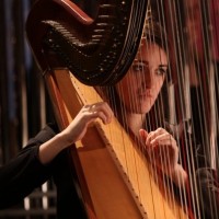 Noelle Tripolino Roberts - Solo Musicians in La Crosse, Wisconsin