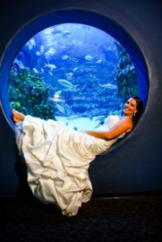 North Carolina Aquarium at Fort Fisher
