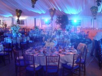 NYFF Events - Carnival Rides Company in , 
