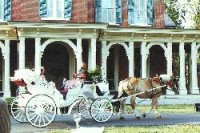 Olde Tyme Carriage - Horse Drawn Carriage in Knoxville, Tennessee