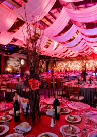 Omni Lighting, Inc.