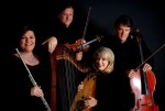 Muse Quartet - Harp, Flute, Violin and Cello