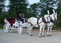 Our American Dream Farm llc. - Horse Drawn Carriage in Trenton, New Jersey
