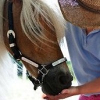 Palm Beach Pony Company - Pony Party in Miami, Florida