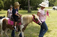 Palmetto Ponies & Pets