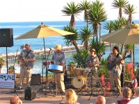 Panjive Steel Drum Entertainment