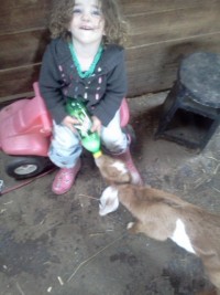 Party Animals
