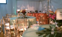 Party Perfect Party Rentals