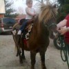 Party Ponies