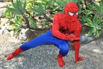 Spiderman Spiderman