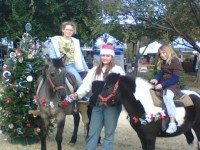 Party Time Ponies