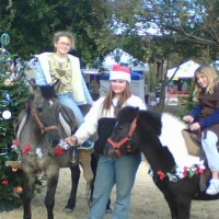 Party Time Ponies - Children's Party Entertainment in Summerville, South Carolina