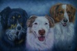 Nancy's dogs