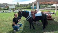 Perfect Ponies LLC