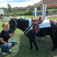 Perfect Ponies LLC - Pony Party in Utica, New York
