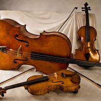 Piemonte Strings - String Trio in Bethesda, Maryland